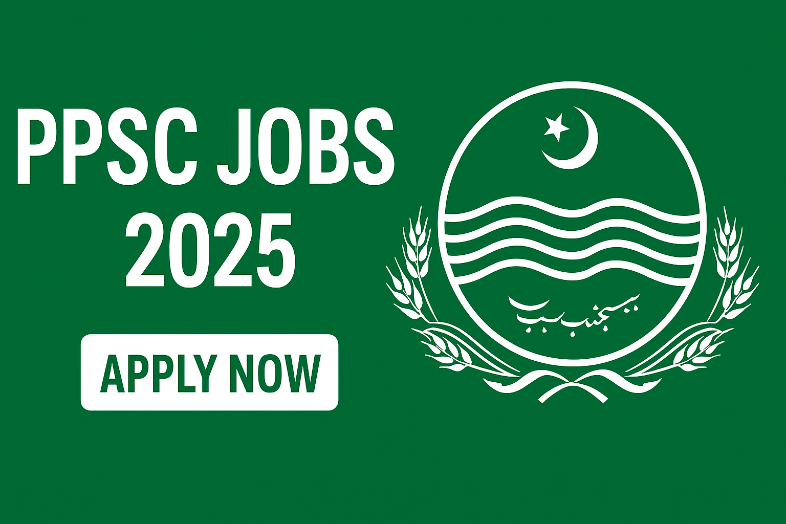 PPSC Jobs 2025 join now