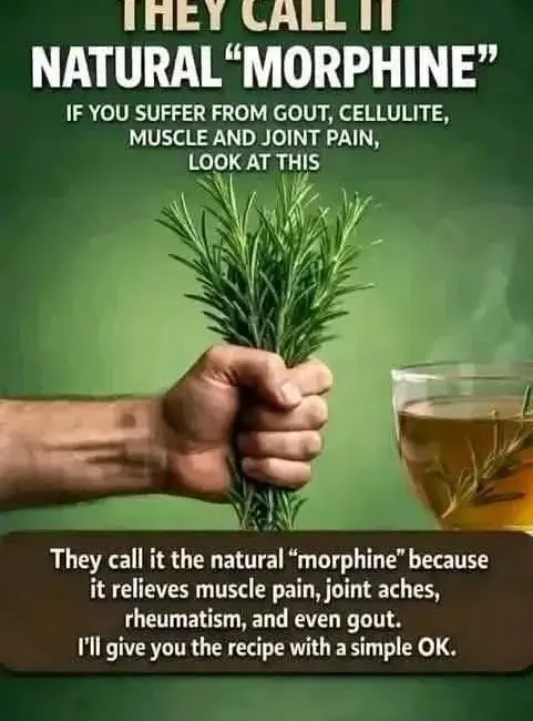 “Rosemary Anti-Inflammatory Herbal Tea”