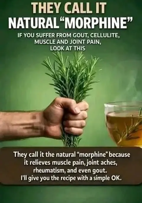 “Rosemary Anti-Inflammatory Herbal Tea”